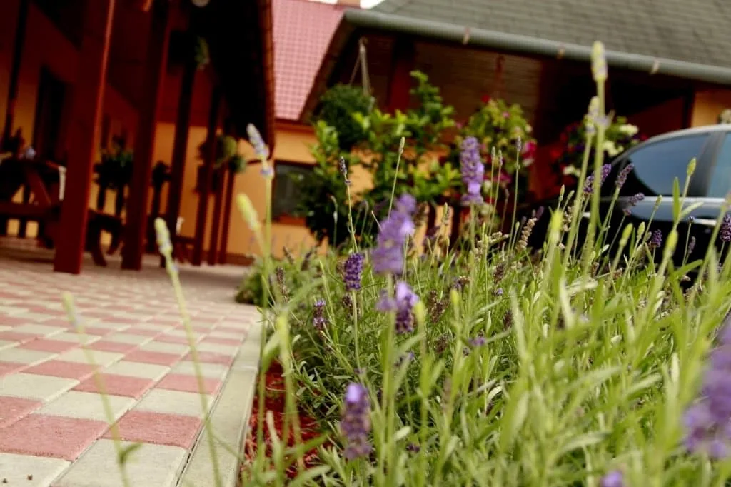 Apartmány Levandula — zdjęcie 4