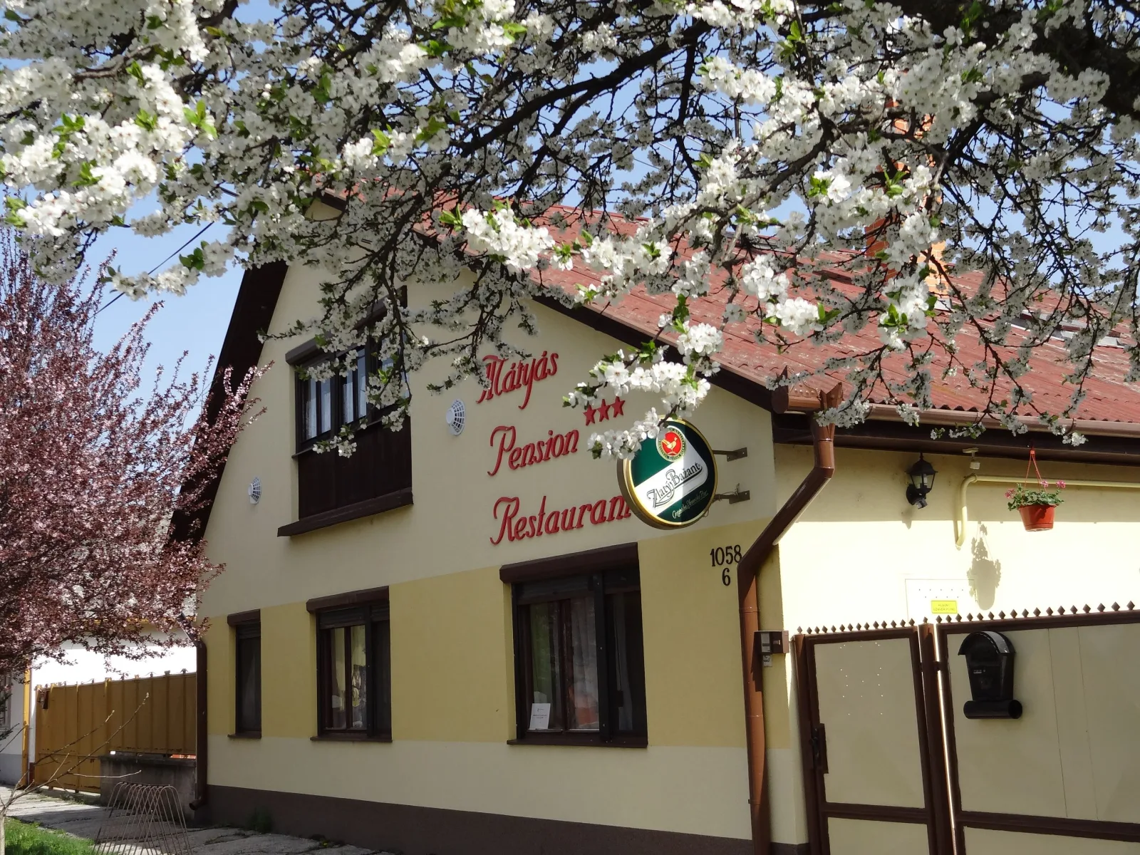 Mátyás pension Restaurant — PENSJONAT w Veľký Meder