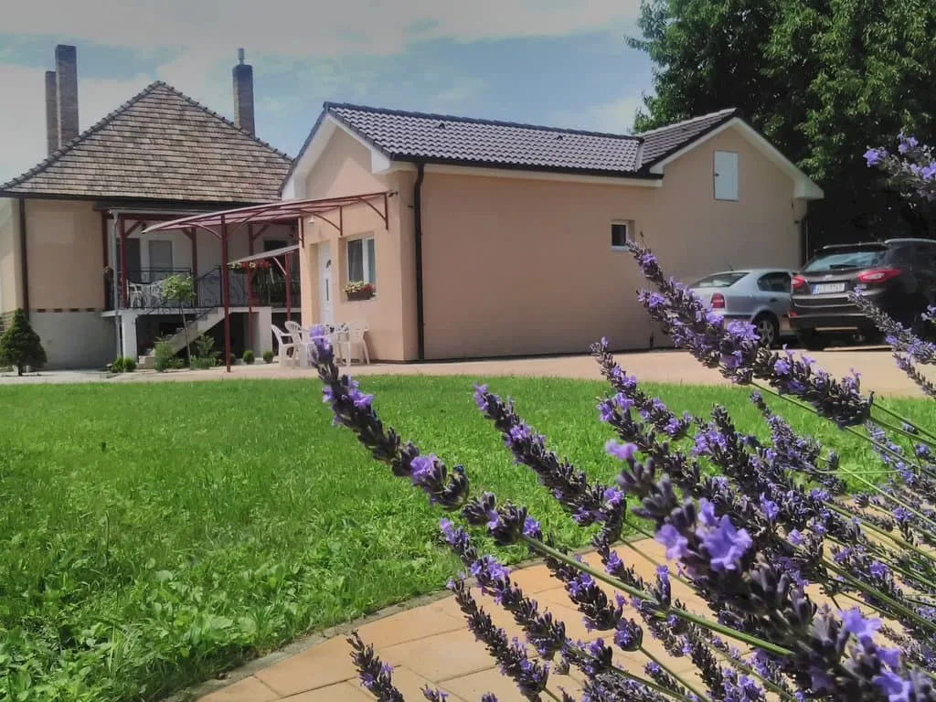 Apartmány KARINA — photo 4