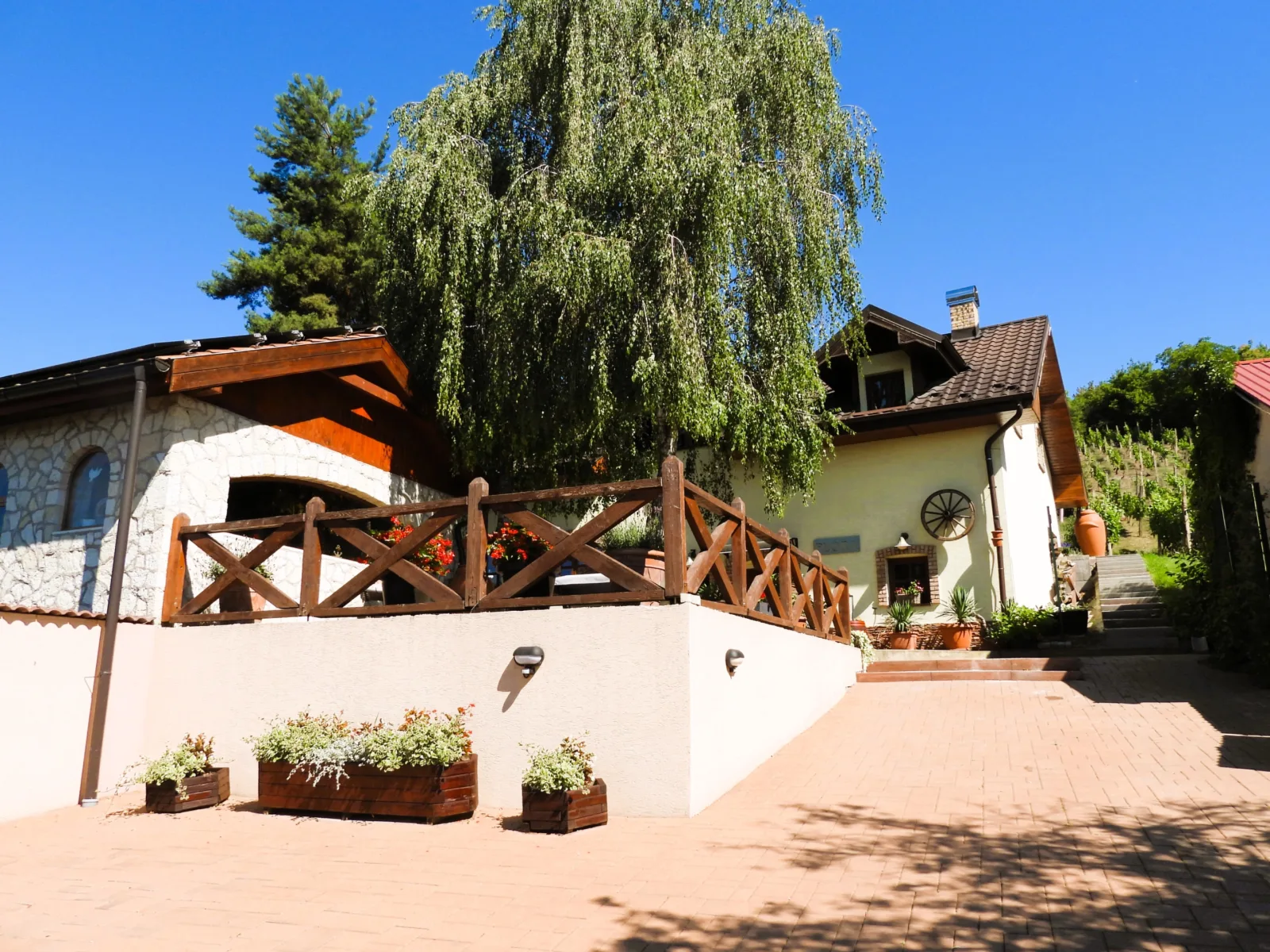 Apartmán FLÓRA — APARTMÁN v obci Viničky
