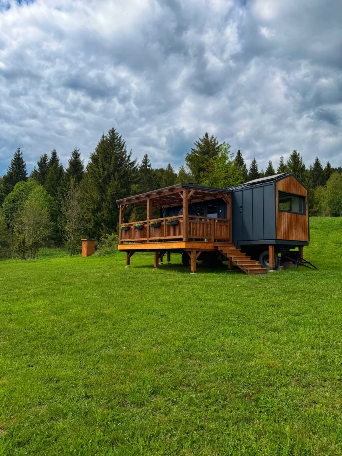 Rozsutec na dlani