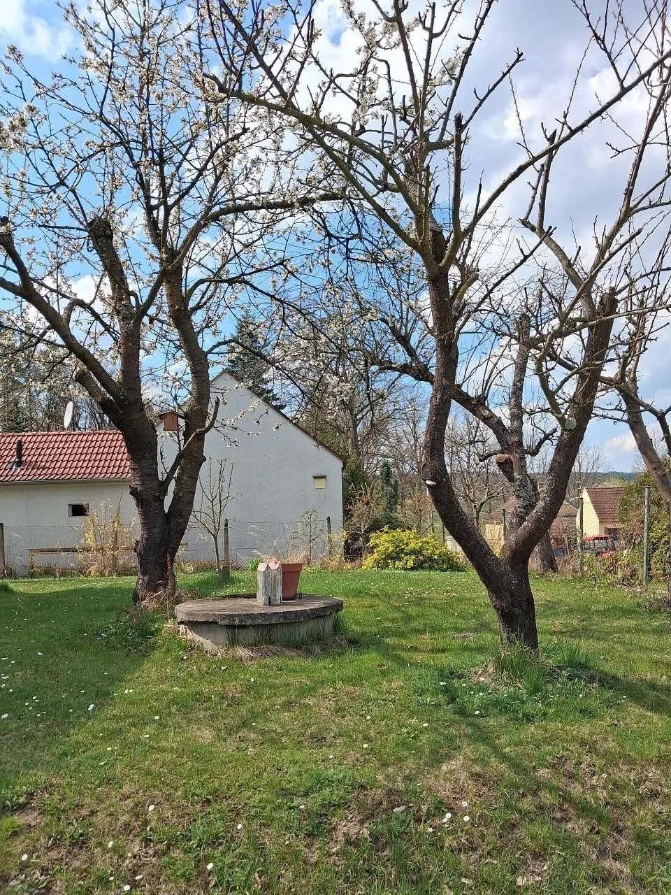 Chaloupka u nás — photo 2