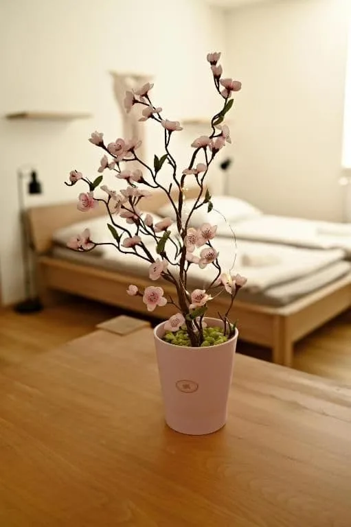 Apartmány Bolevec — Foto 4