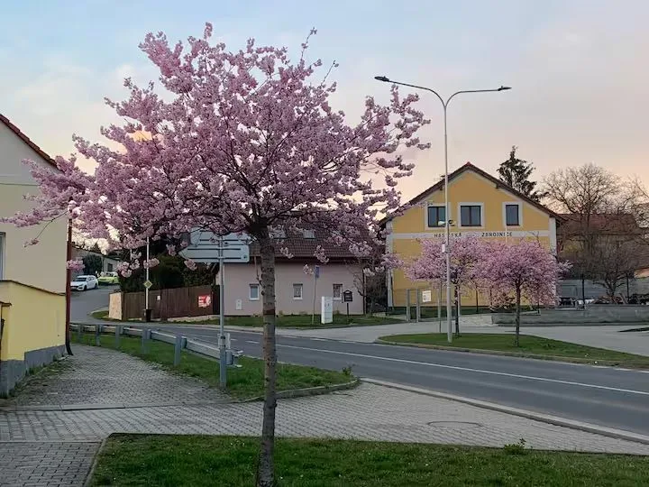 Apartmány na Vršku — APARTMENT in Plzeň