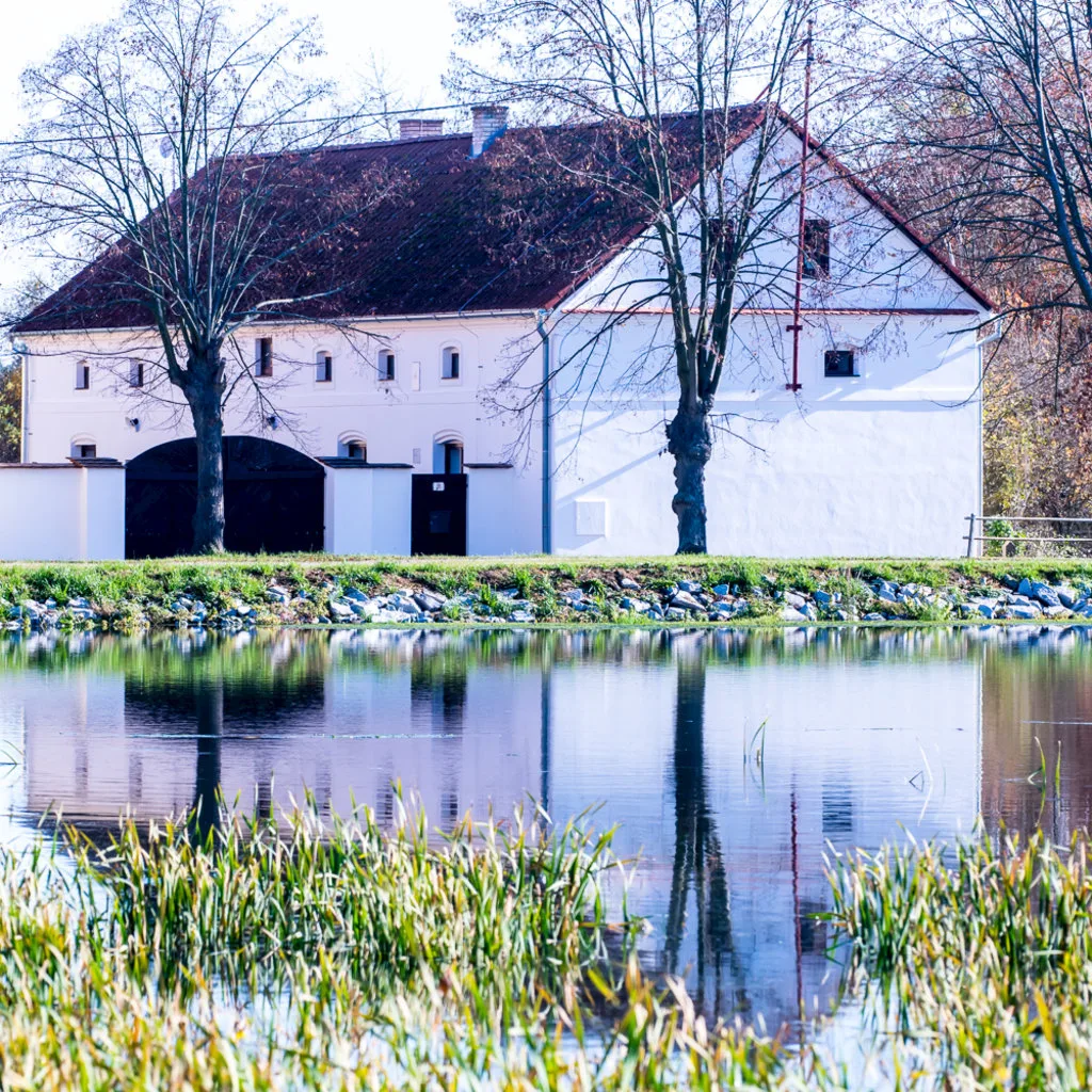 Statek Pňovany — COTTAGE in Pňovany