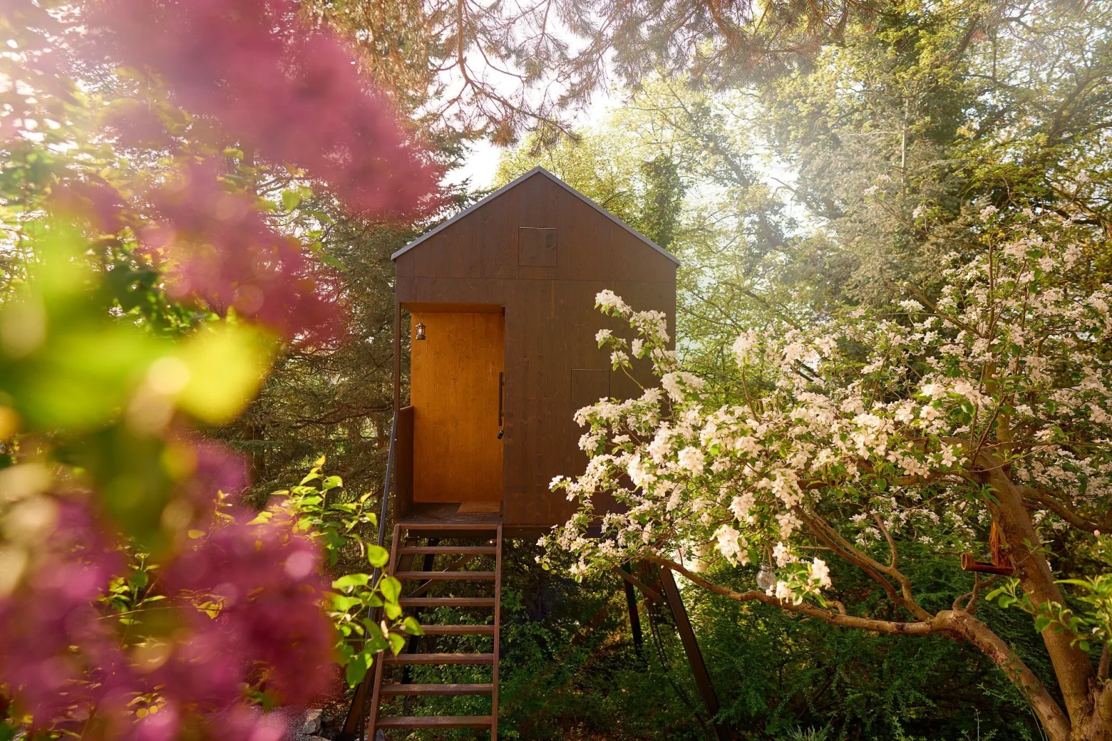 Posed Nad Lesem — GLAMPING v obci Hodkovičky