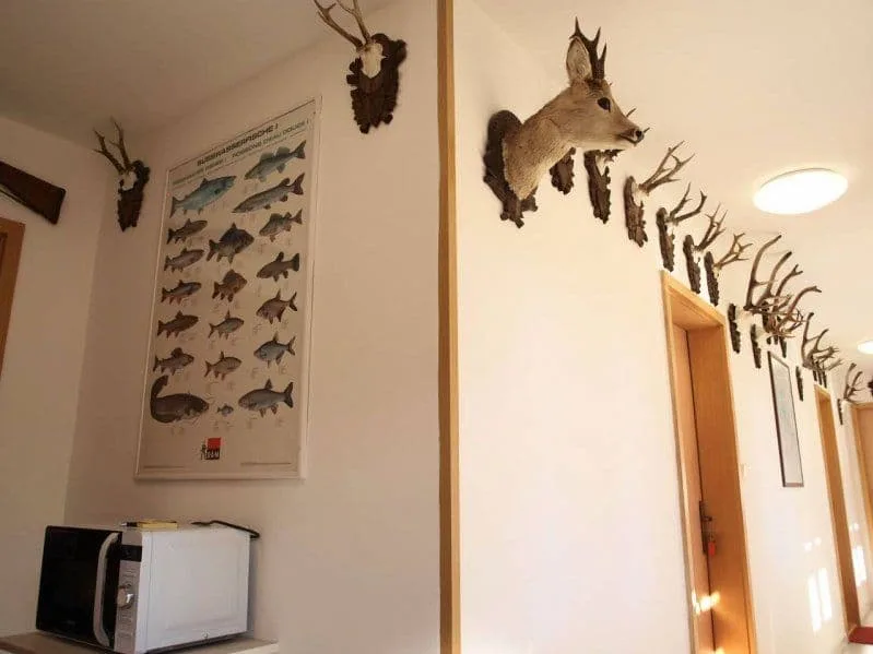 Apartmány Hubert — фото 4
