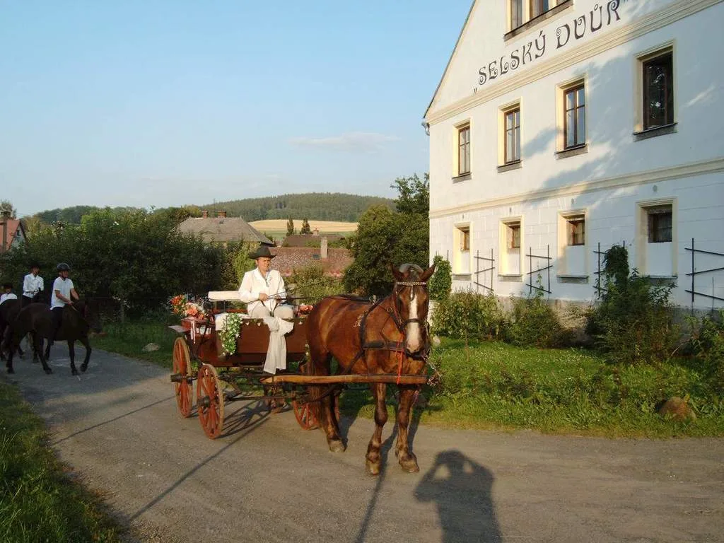 Penzion Selský dvůr — photo 3