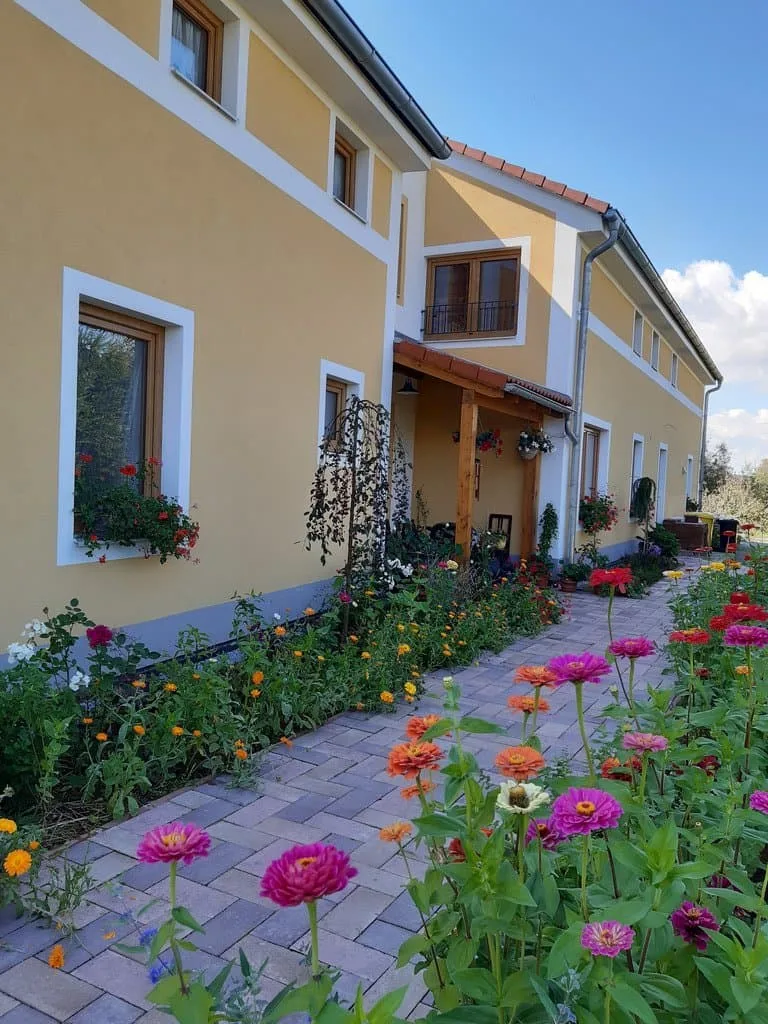 Apartmány Dlouhá louka — photo 2