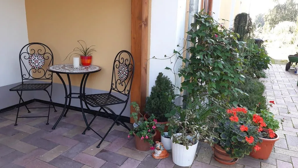 Apartmány Dlouhá louka — photo 3
