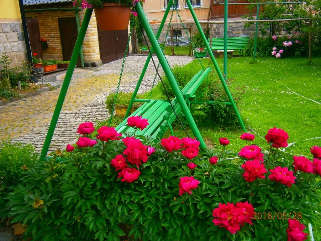 Vila Miluška — photo 4