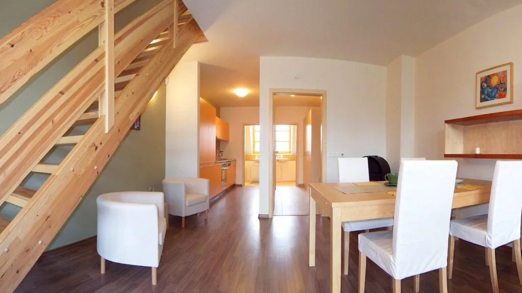 Apartmán Říčky U Sněžného Lva — APARTMENT in Říčky v Orlických horách