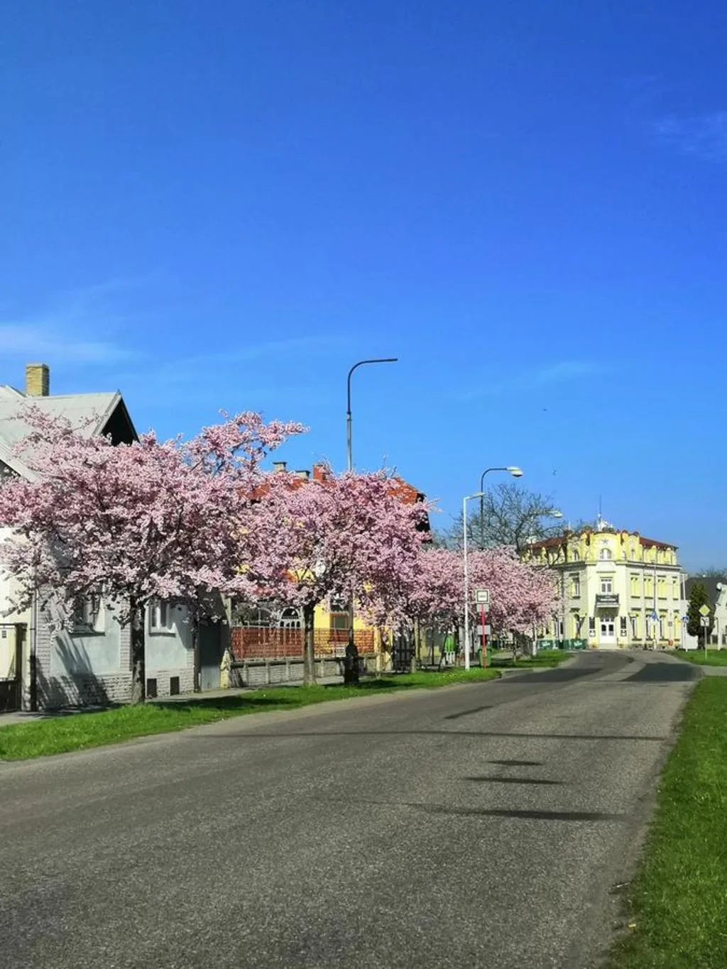 Hotel Modrá hvězda — photo 2