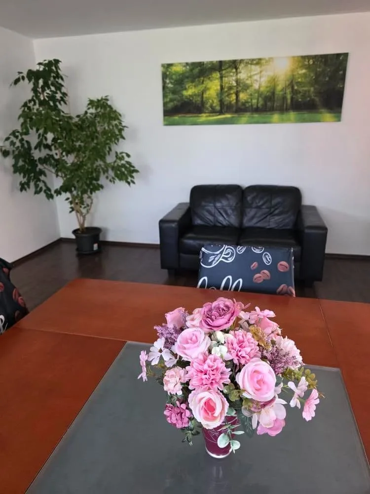 Apartmány u jízdárny — photo 4
