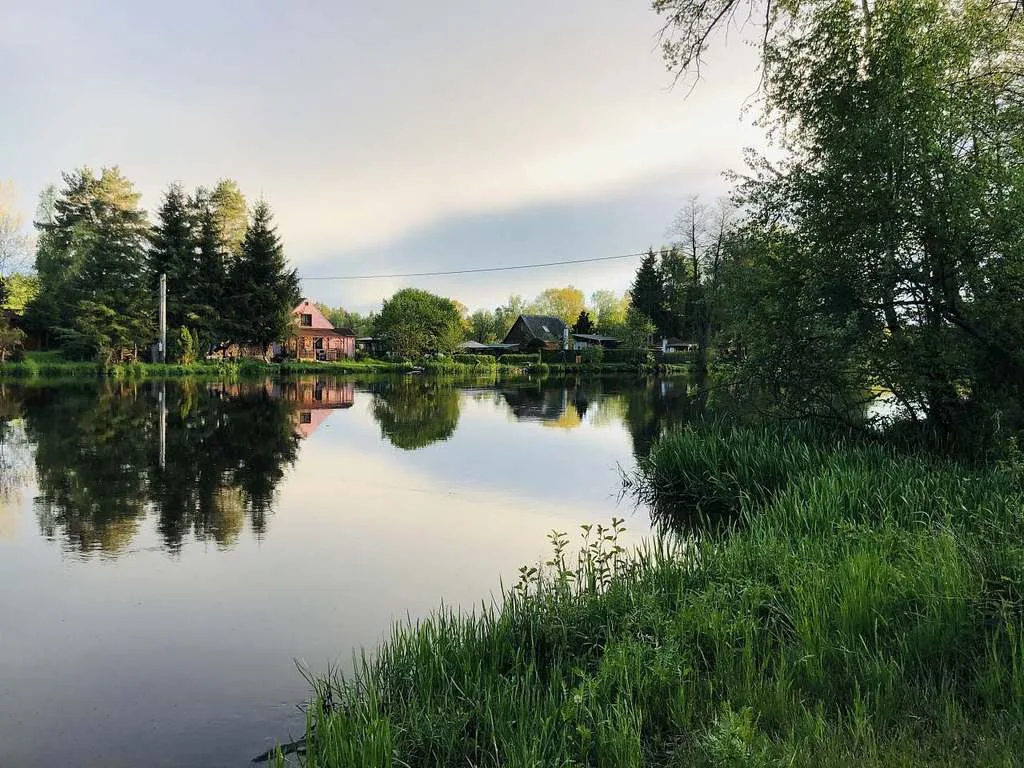 Chaty u Lužnice — fotografie 4