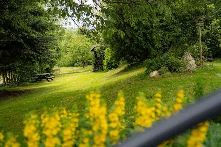 Ubytování Omega Sobotín — photo 4