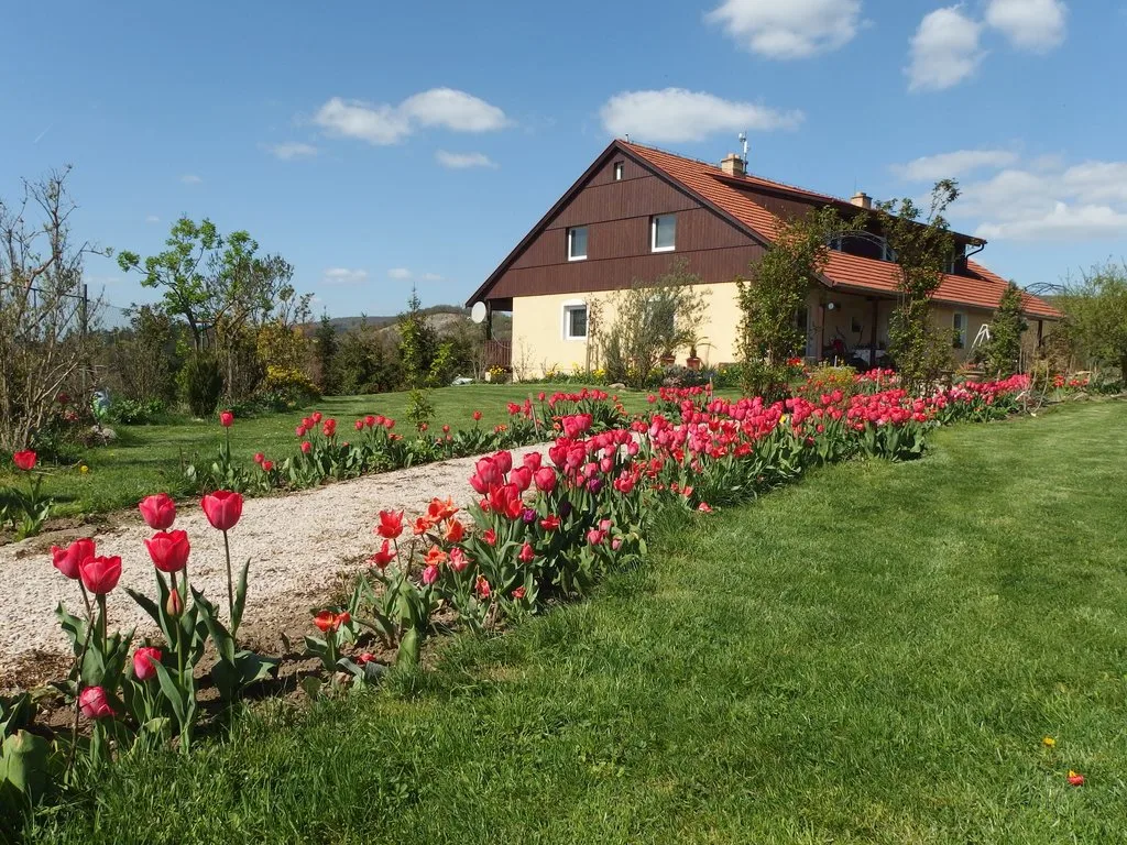 Apartmán Boroví — APARTMÁN v obci Srbsko