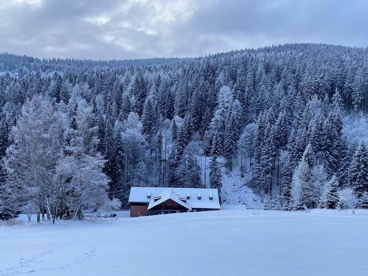 Petski — Foto 2