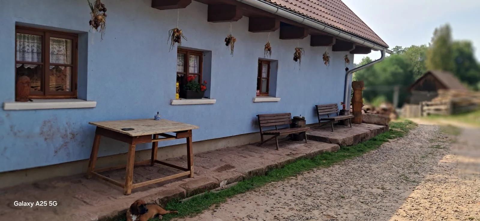Pension Hermína — GUESTHOUSE in Svojek