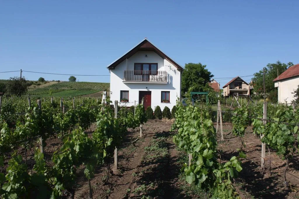Ubytování Obzor — CABIN in Velké Bílovice