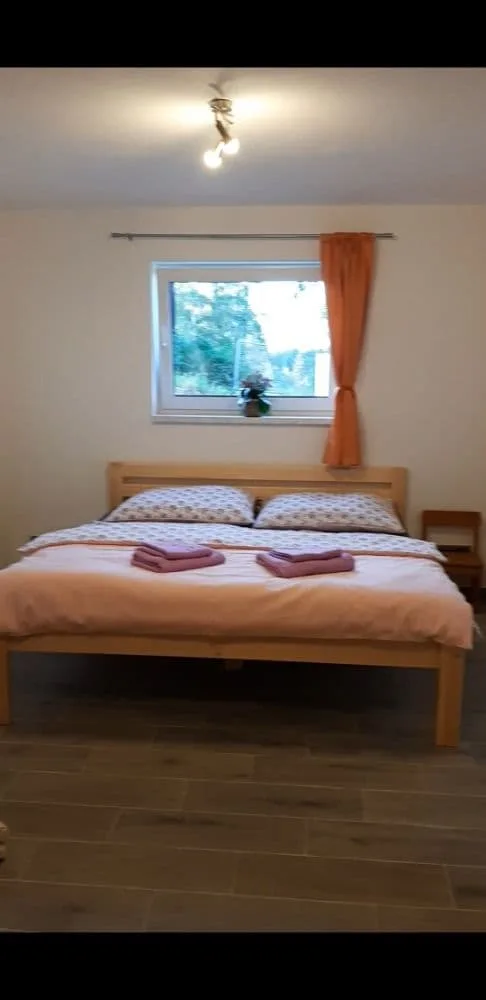 Apartmán na samotě u lesa — photo 2