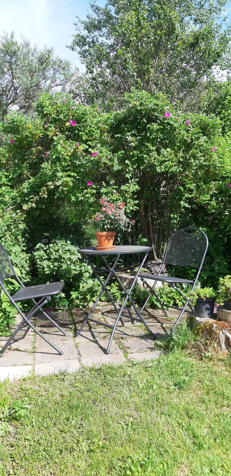Apartmán u Tlačilů — zdjęcie 3