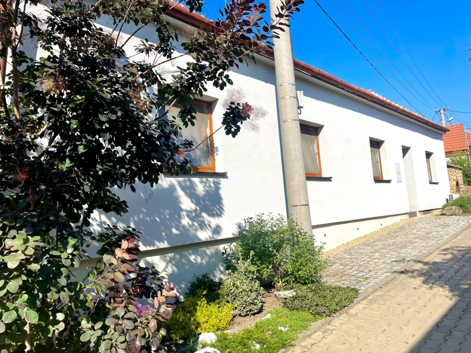 Vinařství penzion Bočko — photo 2
