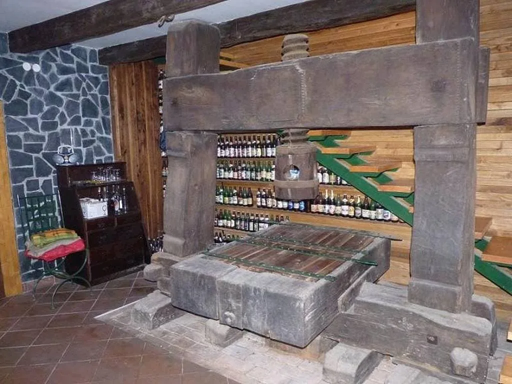 Vinný sklípek u Ostřížků — Foto 2