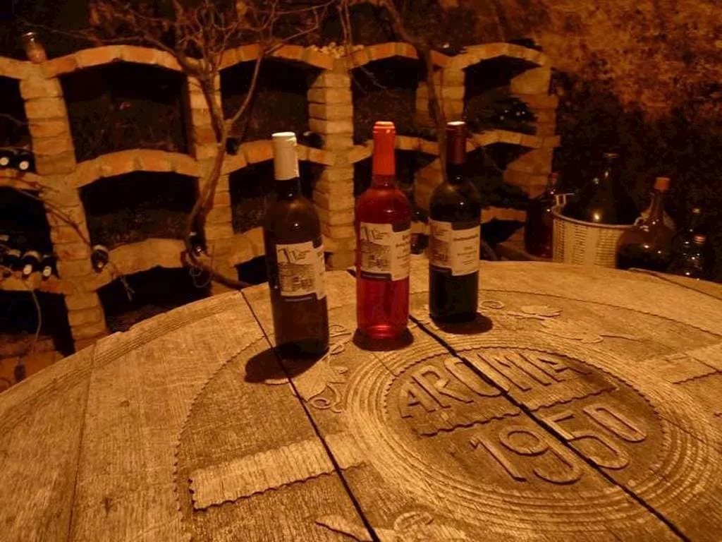 Vinný sklípek u Ostřížků — Foto 5