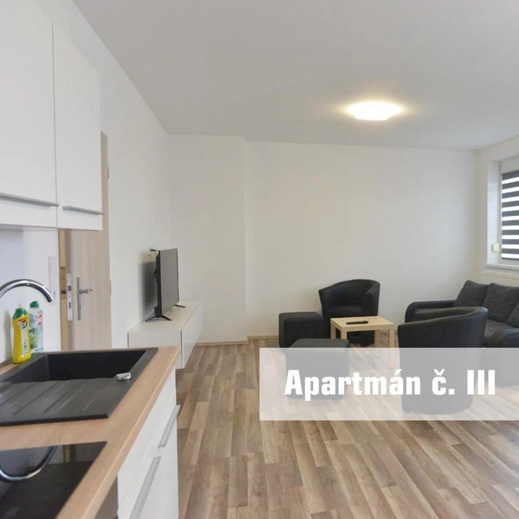 Apartmány U Koupaliště — photo 4