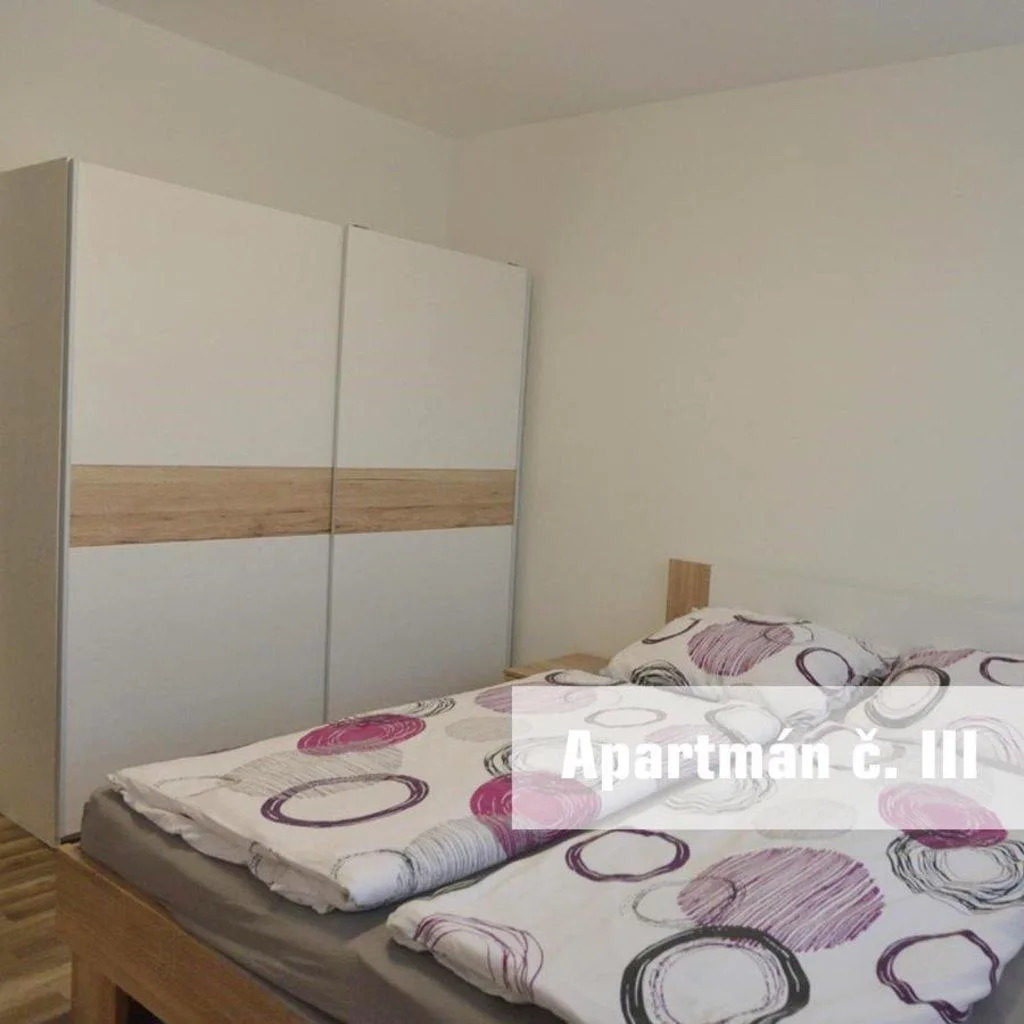 Apartmány U Koupaliště — photo 6