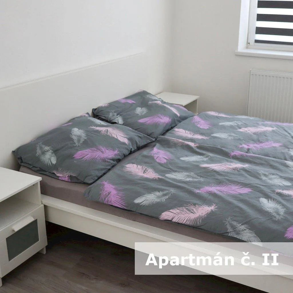 Apartmány U Koupaliště — photo 7