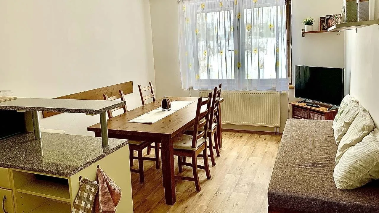 Apartmán Železná Ruda — photo 4