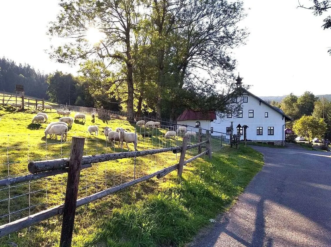 Statek Brčálník — GUESTHOUSE in Železná Ruda