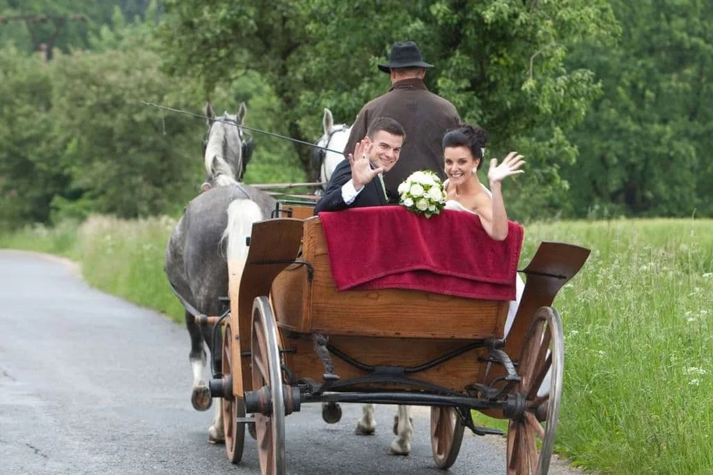 Dvůr Prak — photo 2