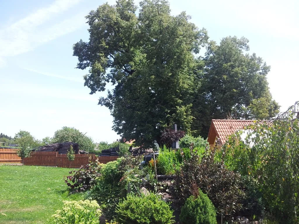 Apartmán Dobřív — photo 2