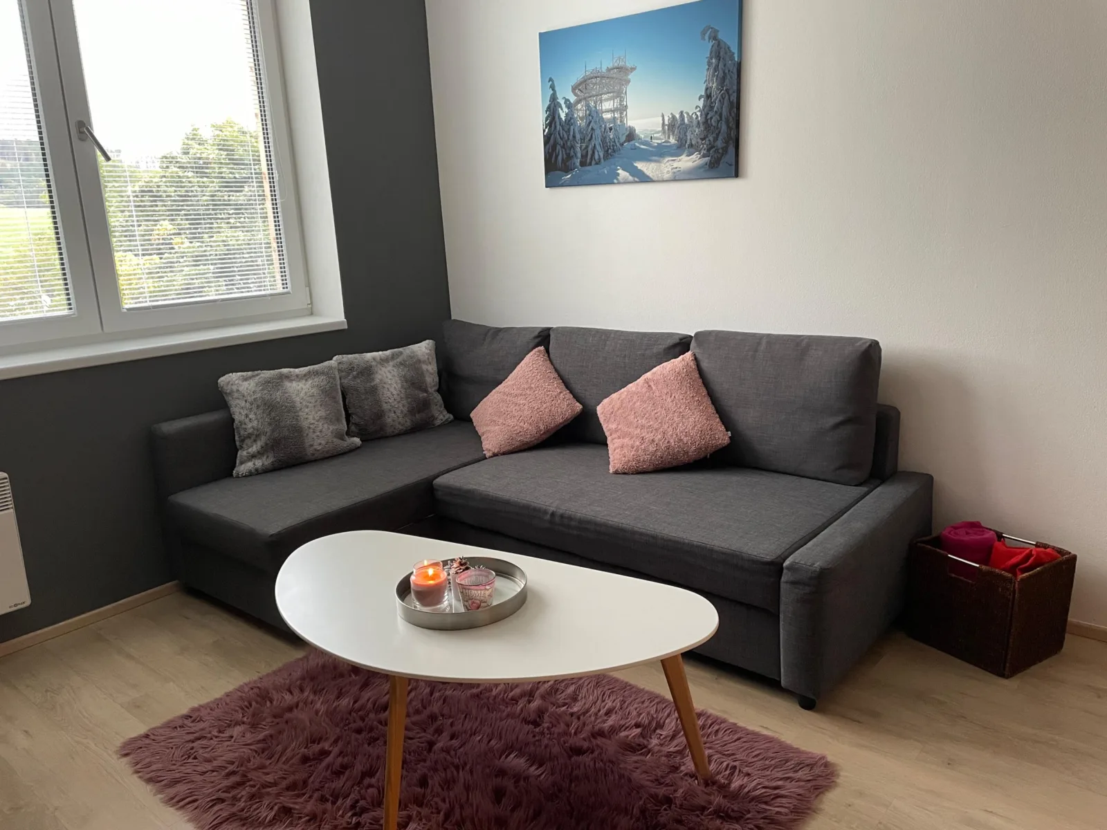Dolní Morava - Apartmán — photo 4