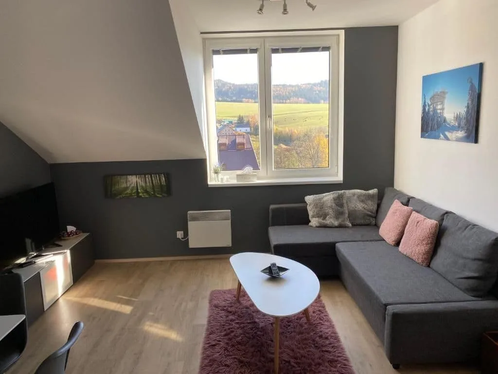 Dolní Morava - Apartmán — photo 6